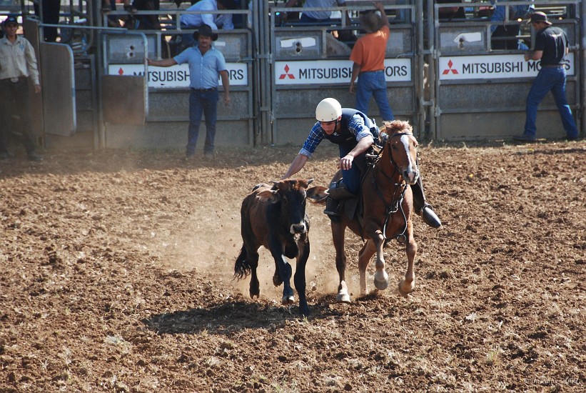 41- Bull-dogging.JPG